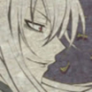 Meet your Posher, Erika